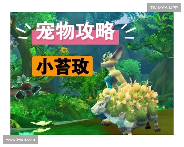 魔兽世界小宠物25级升级攻略